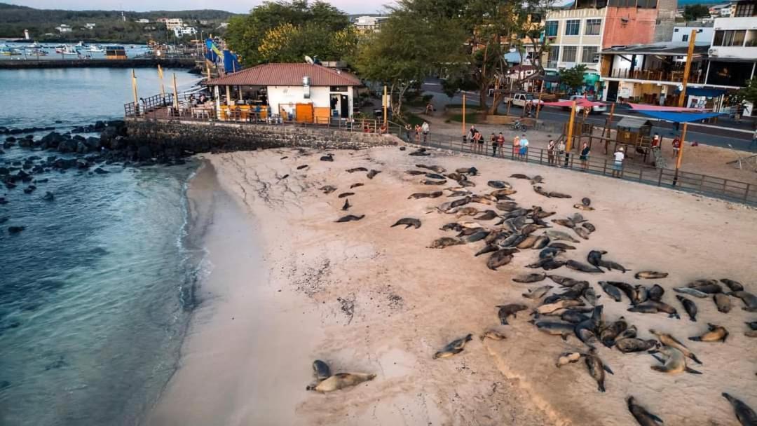 Royal Galapagos Inn Puerto Baquerizo Moreno Exteriör bild